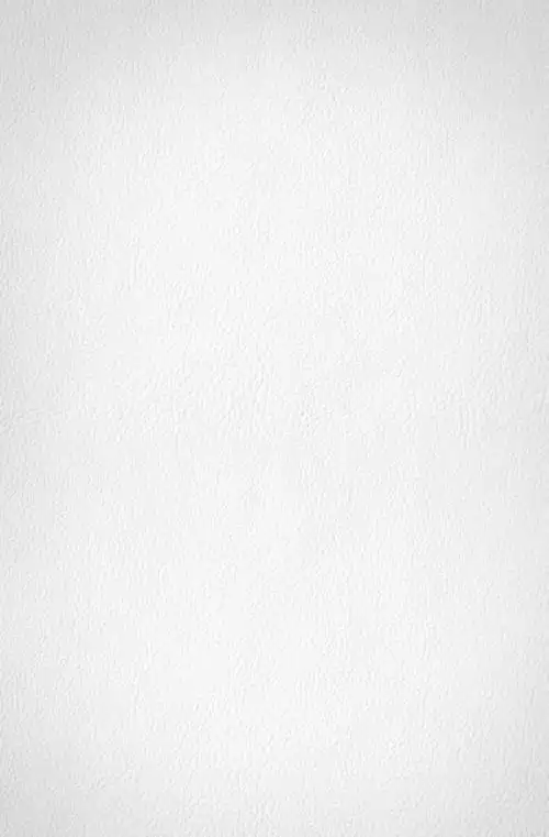 纯白色底图-2020纯白色底图高清全屏素材免费下载_懒人图库