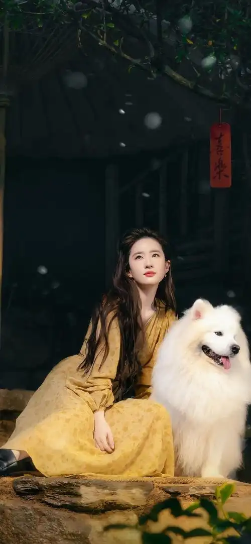 刘亦菲许红豆##刘亦菲去有风的地方