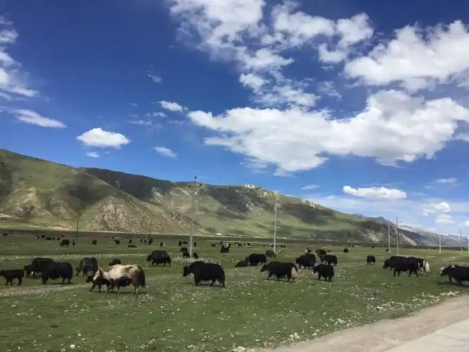 走进四川省甘孜藏族自治区石渠县洛须镇考察记