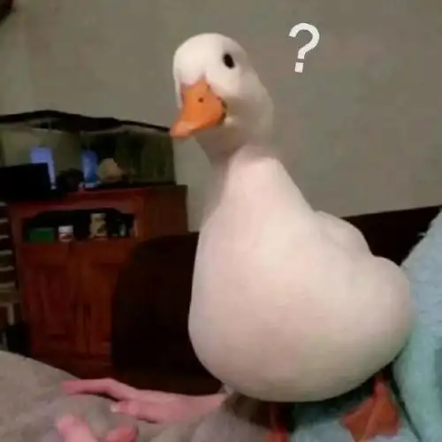 【问号表情包】gif动态图片 - 问号表情包动图表情包下载 - soogif动