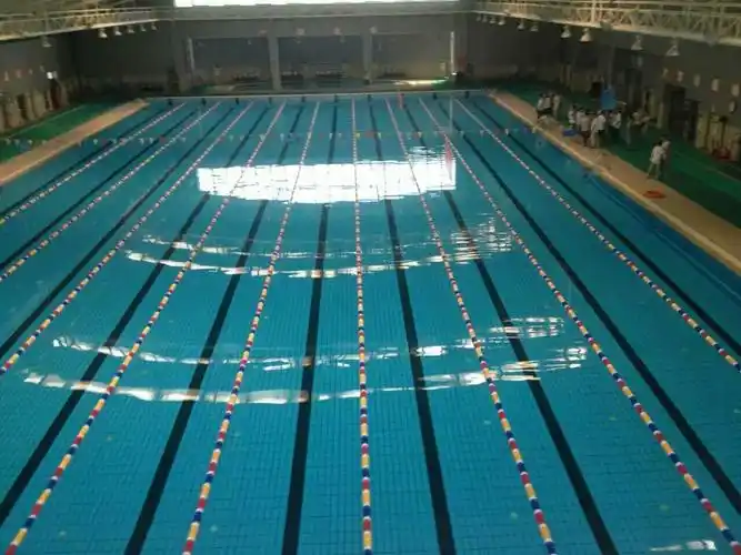 25×50国际标准池