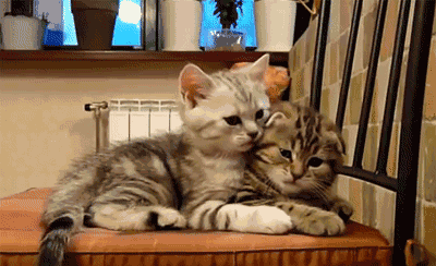 "亲亲,抱抱,举高高~"