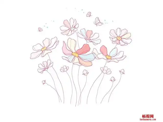 粉花手抄报插图