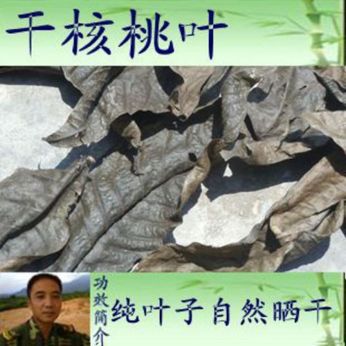 250克包邮,干货纯叶,野生核桃叶,山核桃树叶