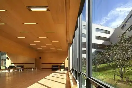 建筑师李虎城市中的自然之子