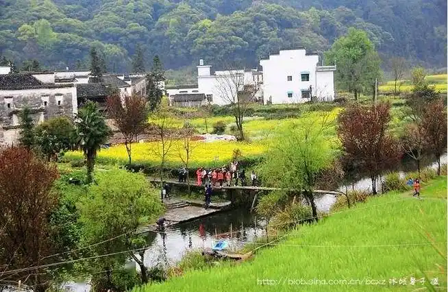春游江南4思溪延村优雅的土豪金