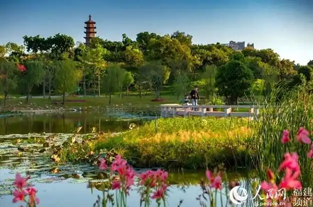 华灯初上 厦门市同安区新添一处夜游"打卡点"