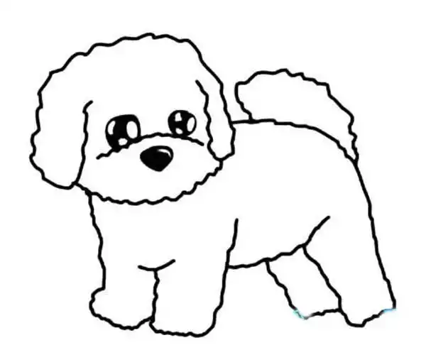 可爱的小狗简笔画比熊犬简笔画动物简笔画小狗简笔画