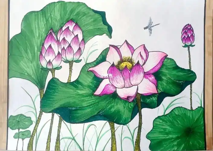 创意画90线描98马克笔97荷花94