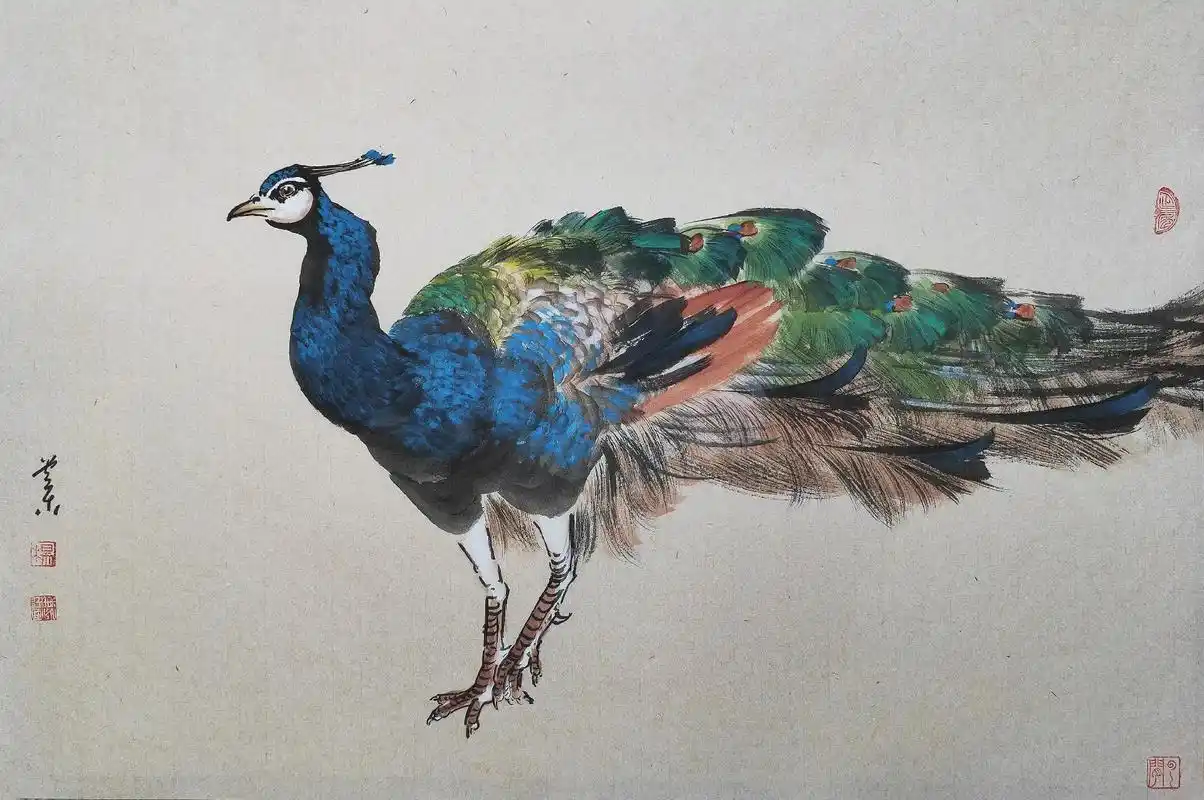 写意孔雀写生小品习作#创作灵感 #感受国画的意境之美 #原创 - 抖音