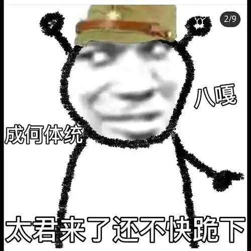 太君表情包水一期