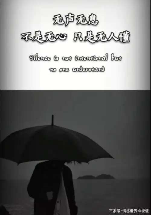 无声无息 不是无心,只是无人懂