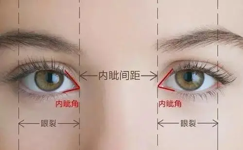你应该开内眼角还是外眼角?