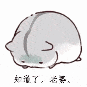 哄老婆专用仓鼠表情包合集|老婆大人对不起
