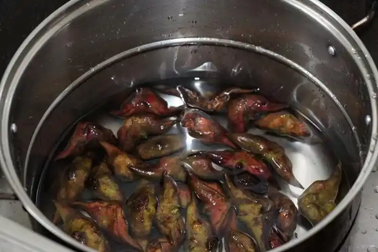 【快乐厨艺】水煮大菱角