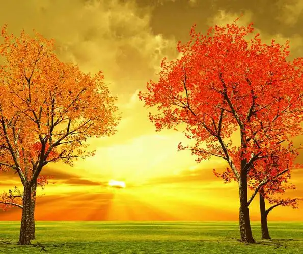 迷人风景背景墙图片