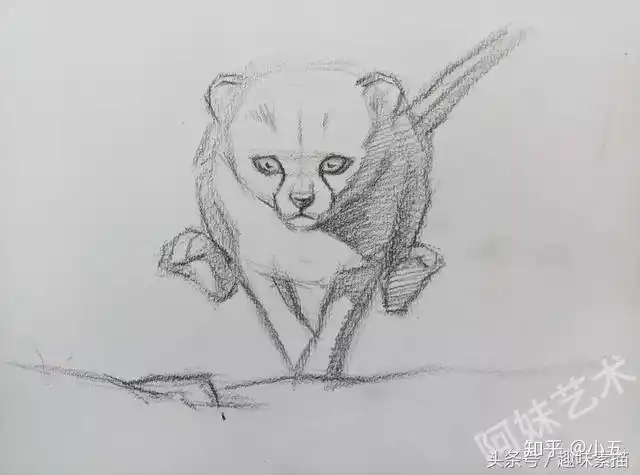 素描教程奔跑的小猎豹
