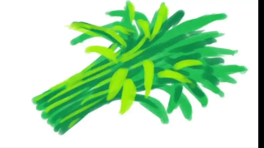 儿童简笔画:空心菜(2)#了不起的她-母婴亲子视频-搜狐视频