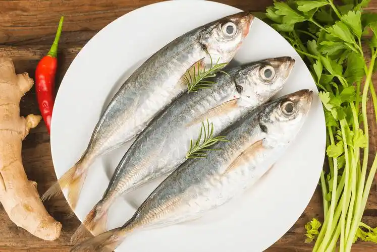 海鱼的种类有哪些海鱼有哪些品种是什么样子的