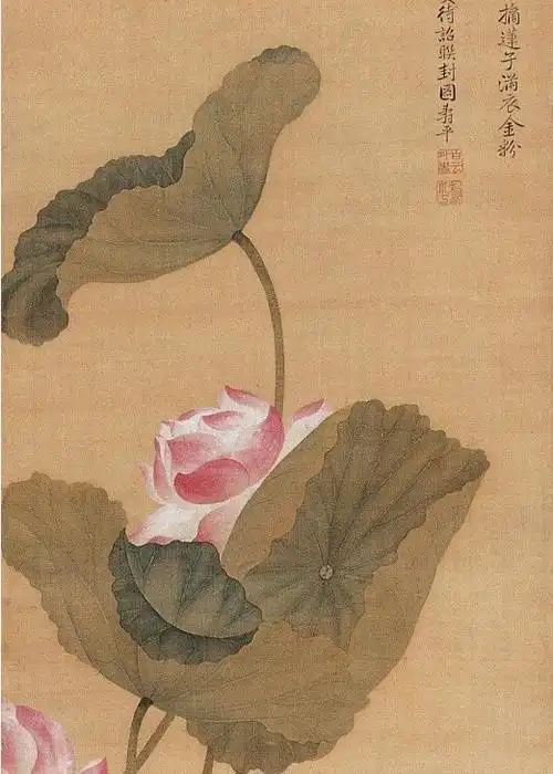 (2013-08-07 11:20:14)恽南田,哦,恽寿平的荷花,比陈之佛的荷花,又是