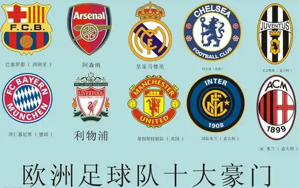 欧洲豪门足球俱乐部在华商标申请注册情况浅析及启示