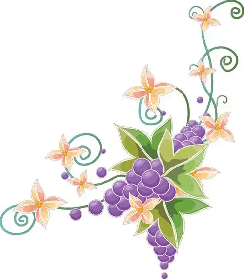 花朵边框装饰图片ppt素材