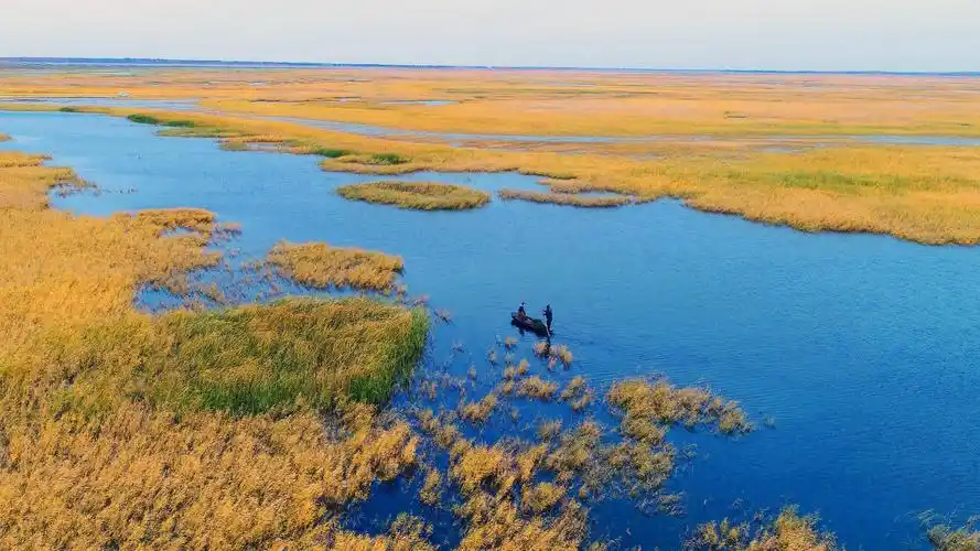 白城,又到最美的时候_旅游