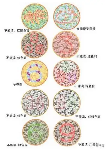 都来测一测!驾校体检色盲色弱测试图 (学车专用)