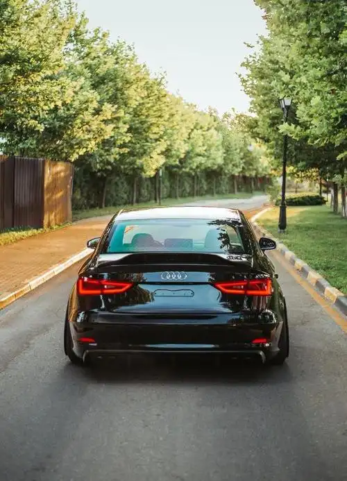 这辆完全被"黑化"的"赛道版"奥迪a3打造成帅气十足的霸气姿态