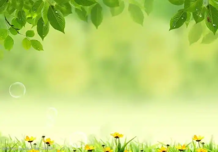 绿色清新背景