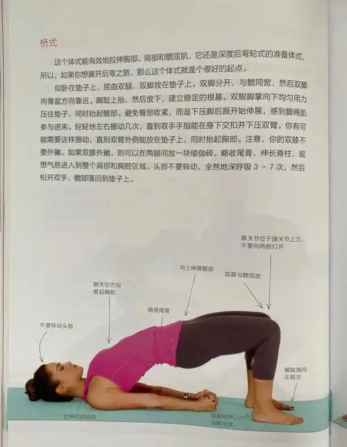 瑜伽初级体式图解二