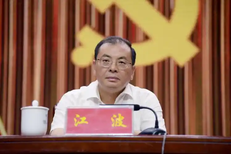 市委常委,组织部长江波出席会议