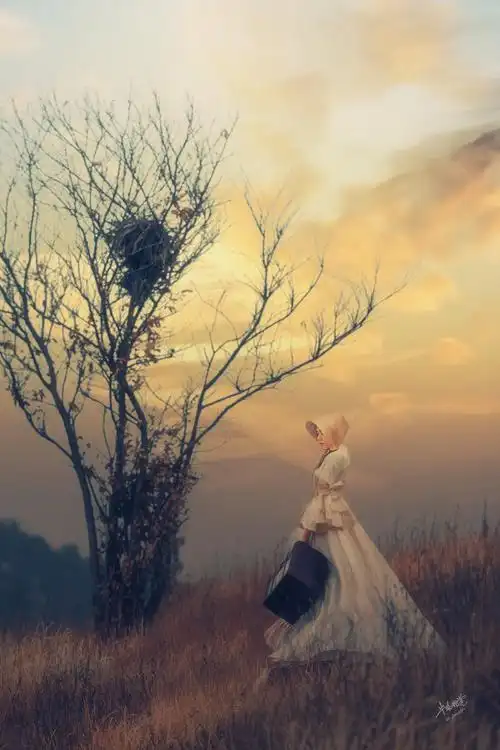 外国摄影师作品欣赏3