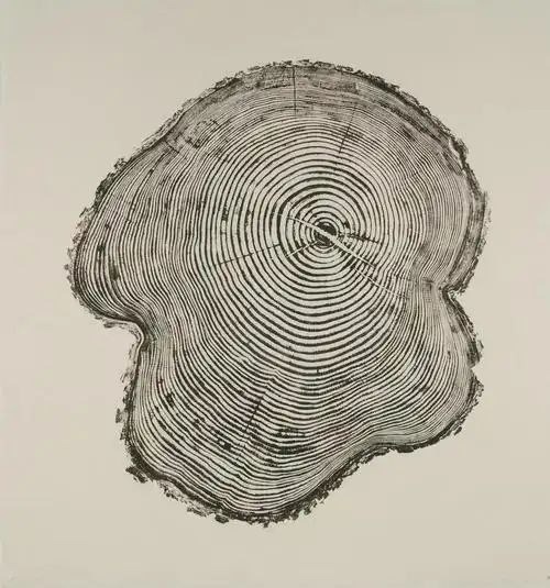 寻找年轮的纹慧艺术(66)