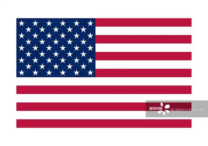 国家政治官员美国国旗