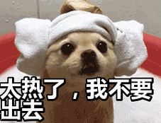 太热了我不要出去表情包