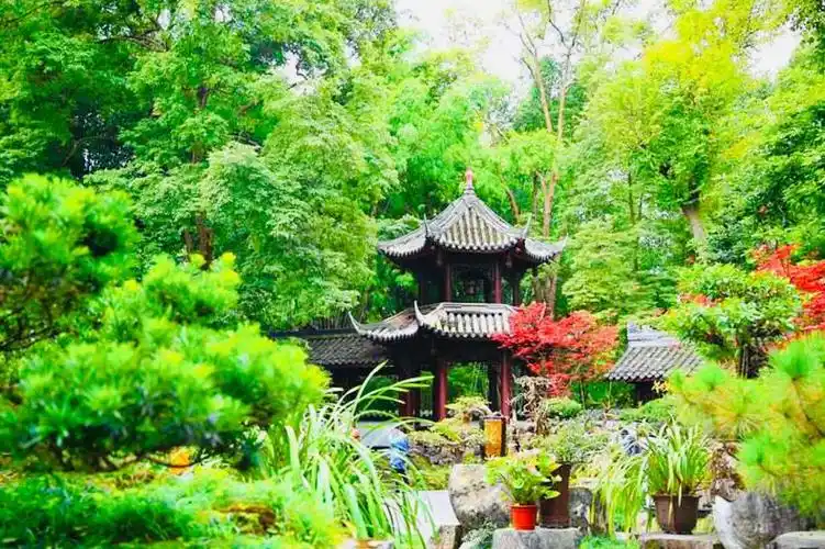 四川成都杜甫草堂风景名胜区游记