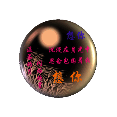 我的心里只有你【蒸发】