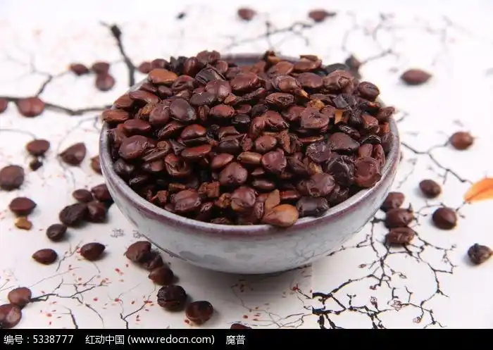 中药材炒酸枣仁图片