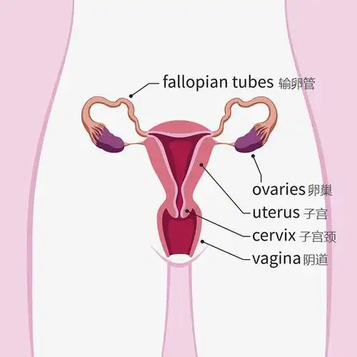 最贵的"房子"需要最好的呵护-西安新长安妇产医院