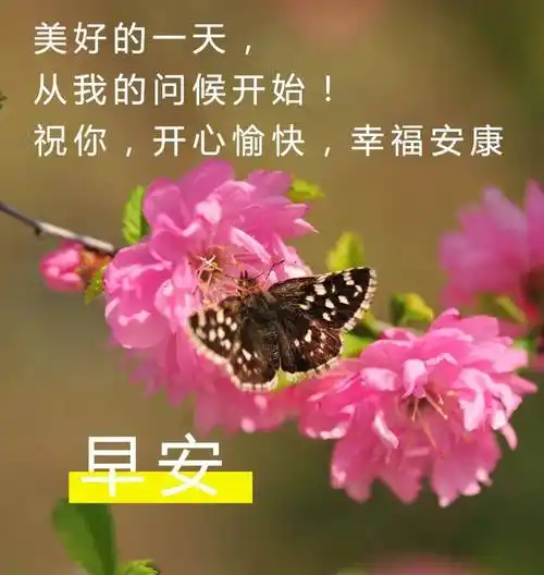 原创精美祝福图片美好祝福词句值得朋友圈发的美好祝愿