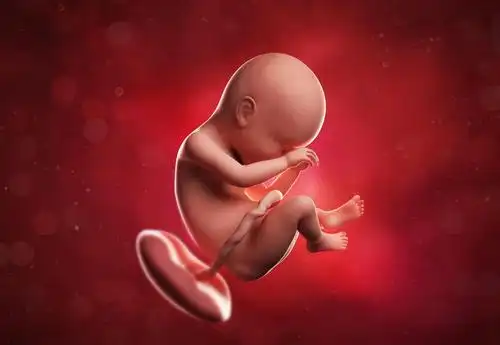 十月怀胎,胎儿有"三个坎儿",安全度过,孕妈就可以放心了