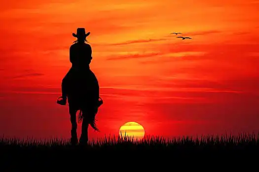 女孩,骑马,日落