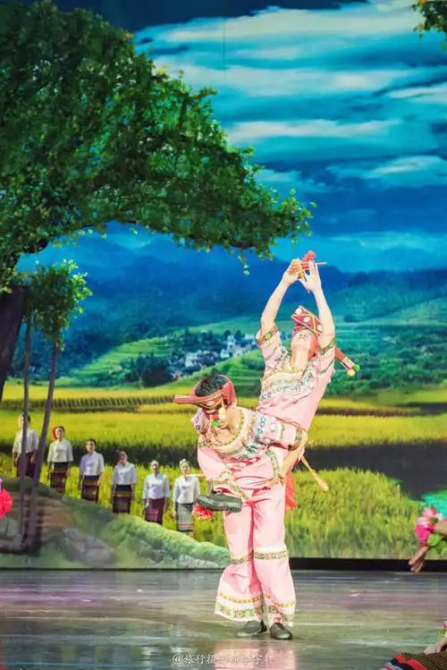 彩云之南#迷失在西双版纳热带雨林的国度里 - 西双版纳傣族自治州