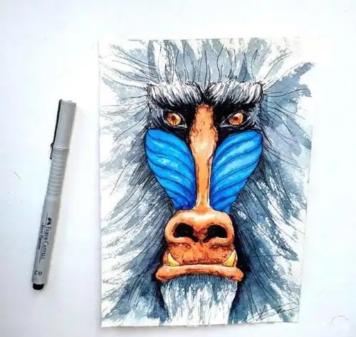 水彩下的动物,仿如活过来,更加灵动