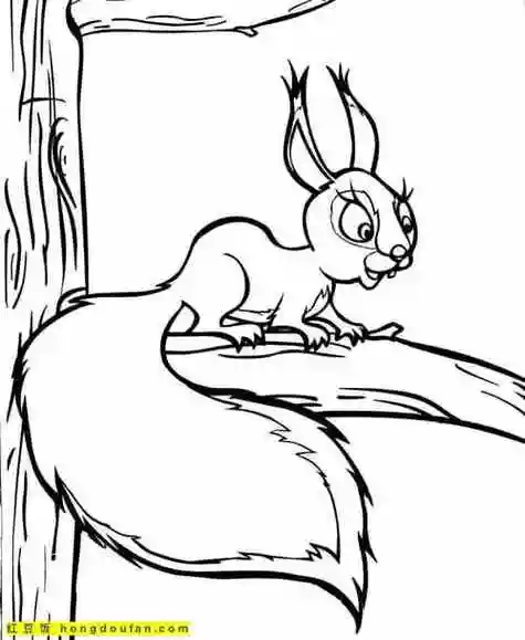 12支可爱的跳跃着的大尾巴小松鼠卡通涂色简笔画
