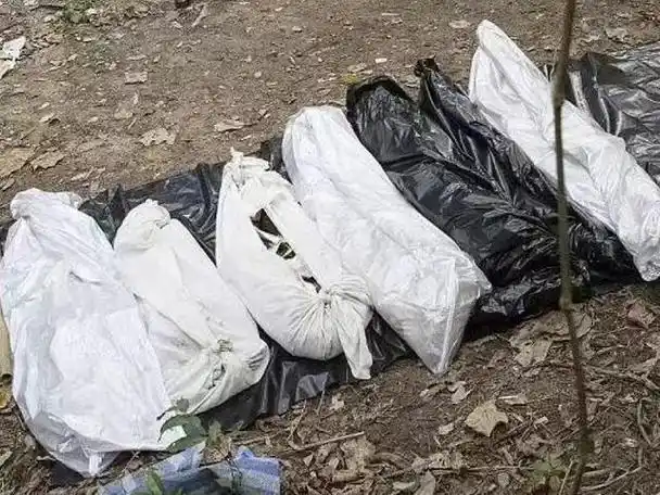 人口贩卖,器官割除,泰国男模餐厅,难以拥有富婆快乐