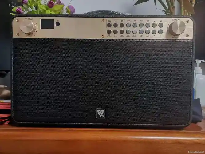 全新声优q10音响转让手慢无