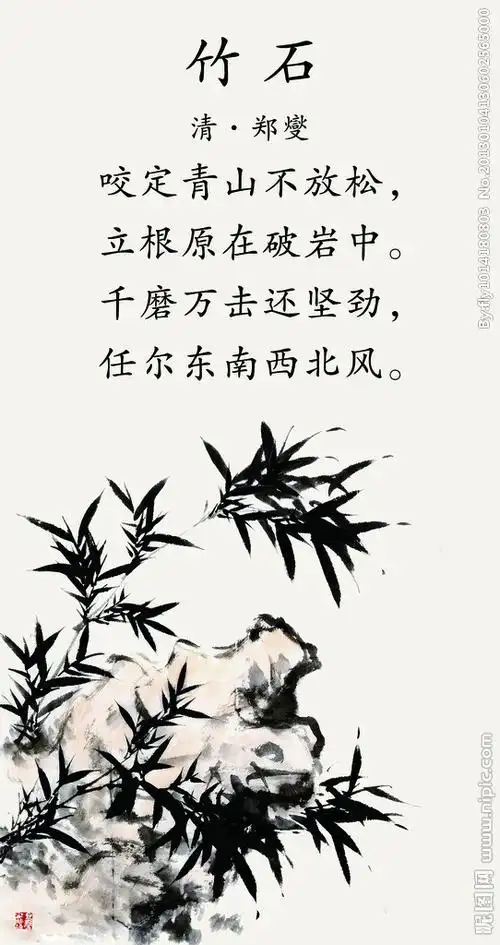 竹石清·郑燮【原诗】咬定青山不放松,立根原在破岩中.
