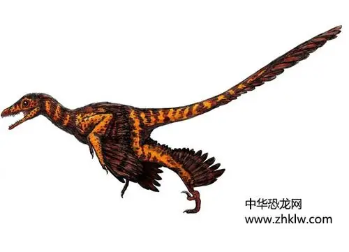 中国鸟龙白垩纪肉食恐龙牙齿有毒的恐龙